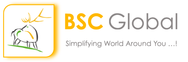 BSCGLOBAL simpCRM